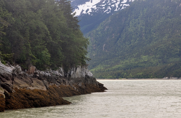 Smuggler's Cove 